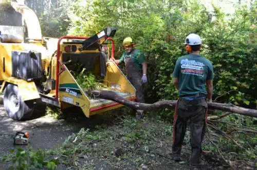 tree services Oxford